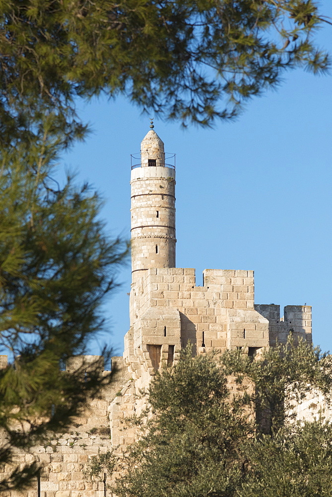 Tower of David through trees, Jerusalem Old City, Israel, Middle East