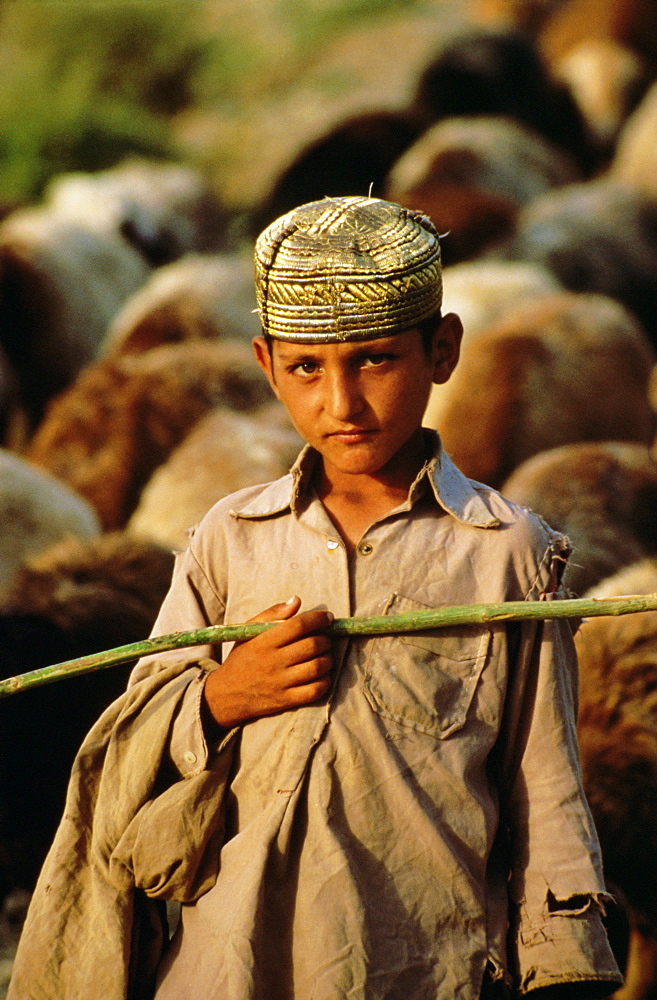 Portrait of a young shepherd boy, Northern Territory, Pakistan, Asia