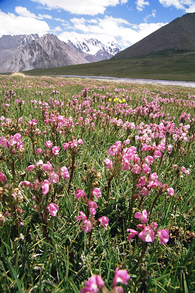 At the border to China, Karakoam Highway, Pamir, Pakistan, Asia