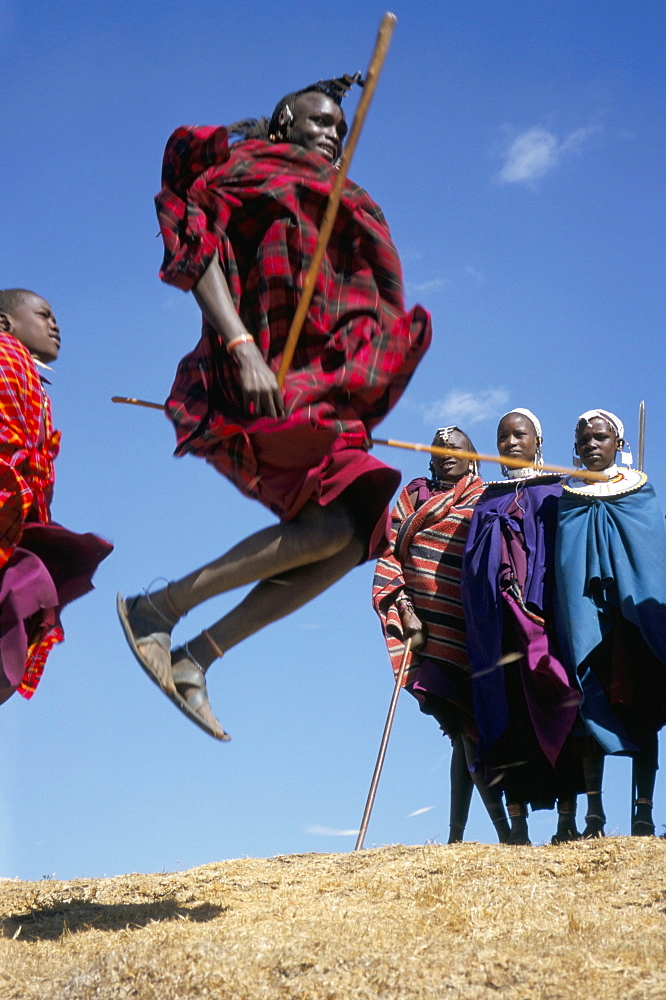 Masai warriors perform jumping dance, Masai Mara National Park, Kenya, East Africa, Africa