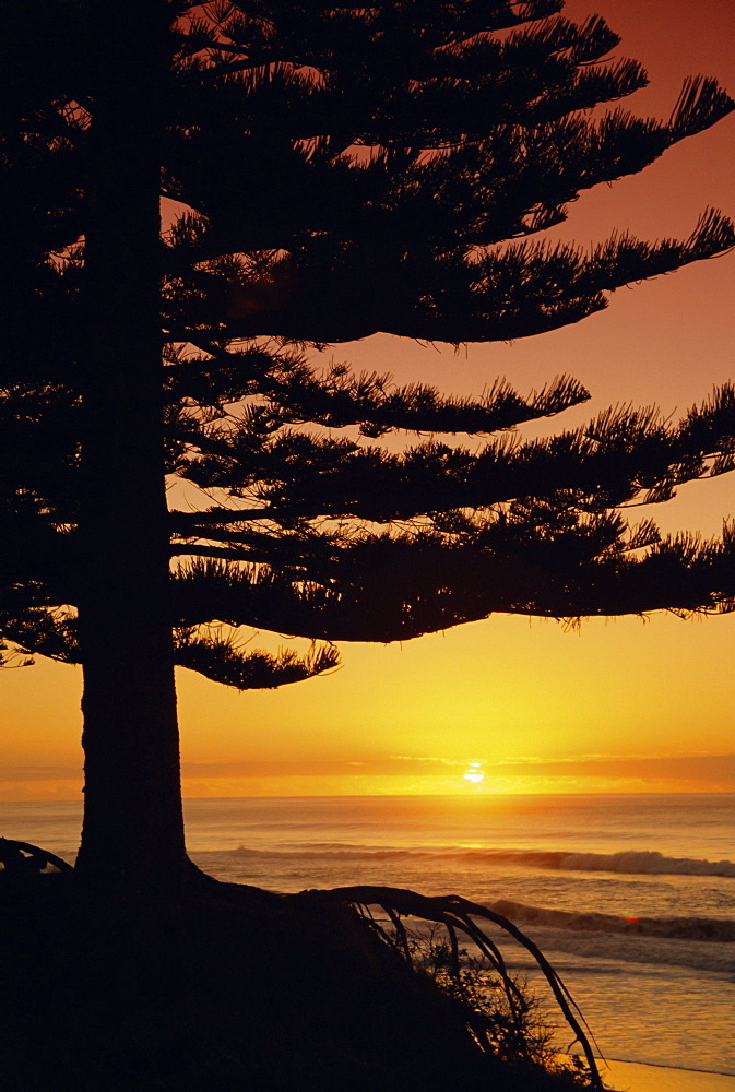 Sunrise, Pine Beach, Gisborne, East Coast, North Island, New Zealand, Pacific