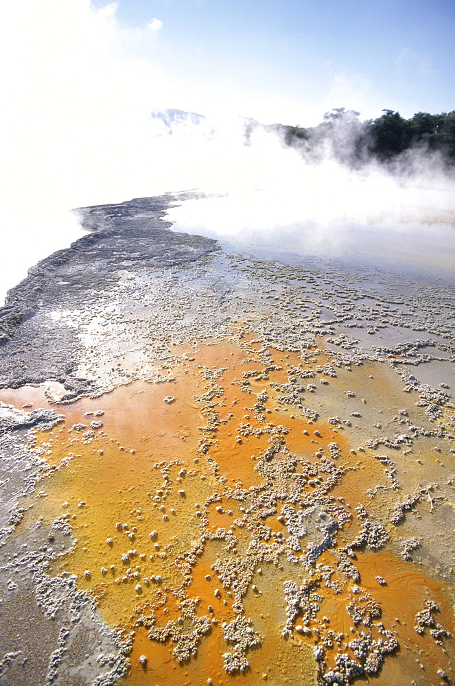 Champagne Pools steaming, Waiotapu thermal reserve, Rotorua, South Auckland, North Island, New Zealand, Pacific