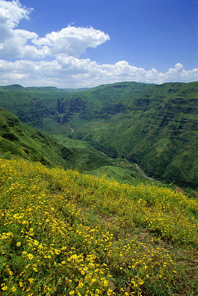 Waterfall cascades down lush valley, Mulu Gorge, near Addis Ababa, Ethiopia, Africa