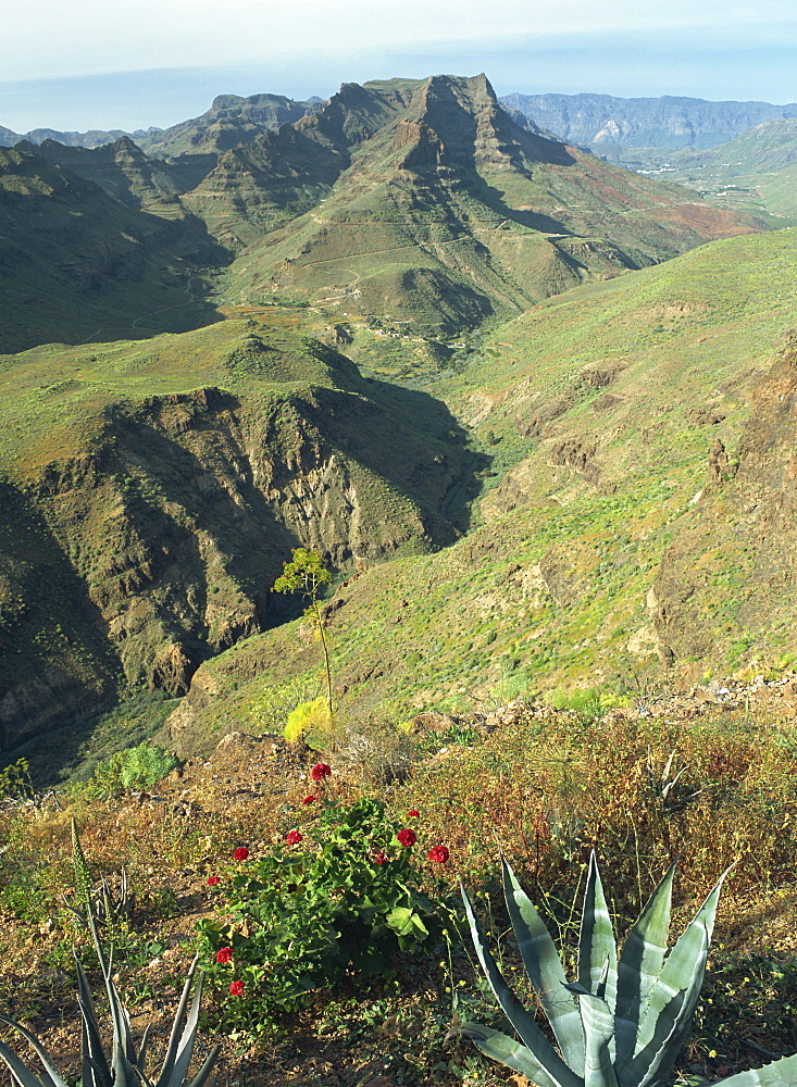 Barranco de Fataga looking north from a viewpoint towards Cumbre de Trujillo, 1146m, Barranco de Fataga, Gran Canaria, Canary Islands, Spain, Europe