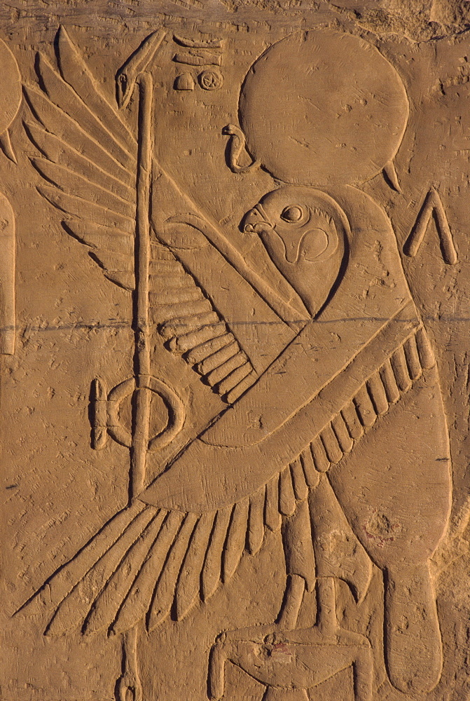 Detail of relief carving of the falcon (hawk) god, Kom Ombo, Egypt, North Africa, Africa