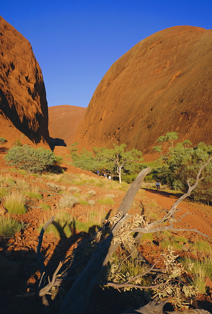 Weathered rock formations, the Olgas, near Ayer's Rock, Northern Territory, Australia