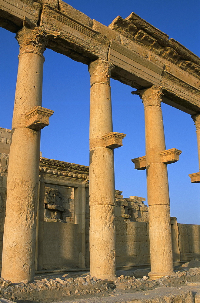 Ruins of the colonnade, Palmyra, UNESCO World Heritage Site, Syria, Middle East