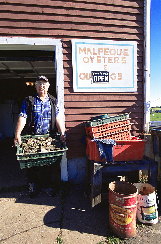 Dale Marchland selling Malpeque oysters, Malpeque, Prince Edward Island, Canada, North America