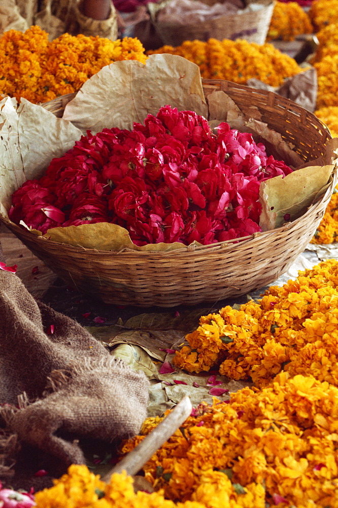 Close-up of a basket of red flowers, with yellow flowers, in the market, Jaipur, Rajasthan, India, Asia