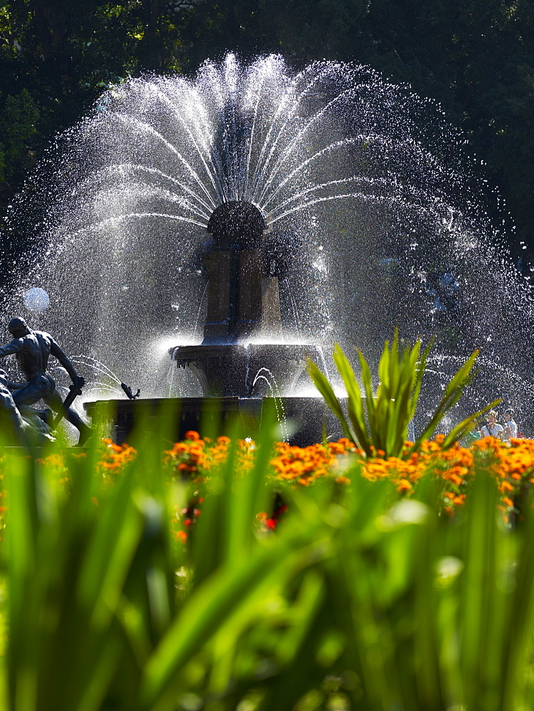 Fountain, Hyde Park, Sydney, New South Wales, Australia, Pacific