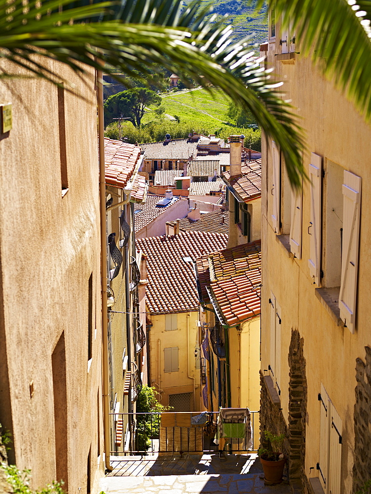 Collioure, Languedoc Roussillon, France, Europe