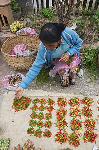 Morning food market, Luang Prabang, Laos, Indochina, Southeast Asia, Asia