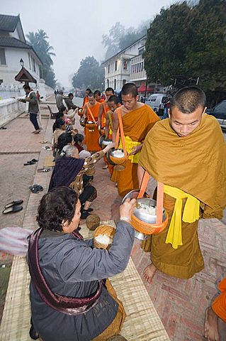 Monks collecting food at 7am, Luang Prabang, Laos, Indochina, Southeast Asia, Asia