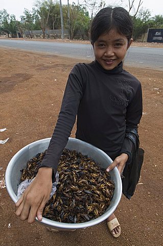 Cooked crickets for sale, Cambodia, Indochina, Southeast Asia, Asia