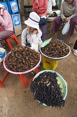 Cooked crickets and spiders for eating in market, Cambodia, Indochina, Southeast Asia, Asia