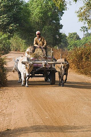 Ox cart, Cambodia, Indochina, Southeast Asia, Asia