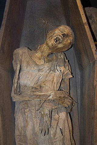 Mummy of a Chinese girl, in the Mummy Museum (Museo de las Momias) in Guanajuato, a World Heritage Site, Guanajuato, Guanajuato State, Mexico, North America