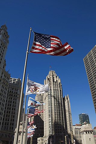 Flags, Chicago, Illinois, United States of America, North America