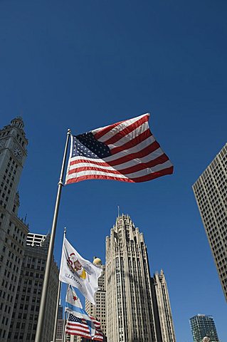 The Tribune Tower Building, Chicago, Illinois, USA