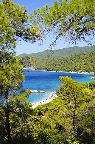 Milia Beach, Skopelos, Sporades Islands, Greek Islands, Greece, Europe