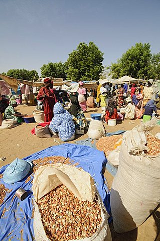 Market at Ngueniene, near Mbour, Senegal, West Africa, Africa