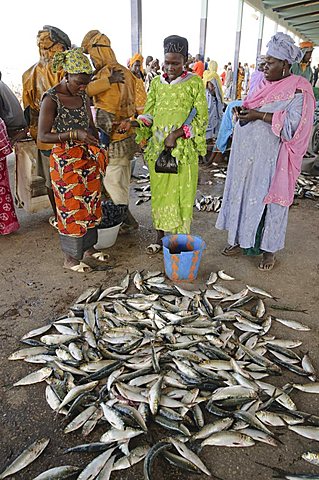 Mbour Fish Market, Mbour, Senegal, West Africa, Africa