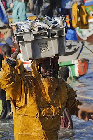 Mbour Fish Market, Mbour, Senegal, West Africa, Africa