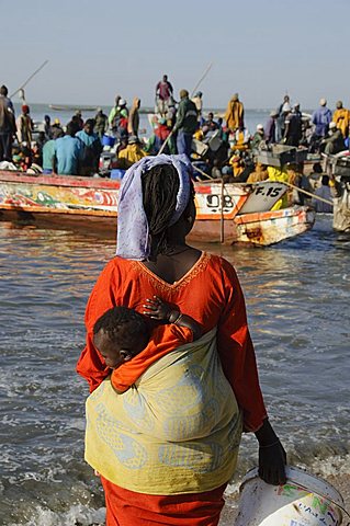 Unloading fishing boats (pirogues), Mbour Fish Market, Mbour, Senegal, West Africa, Africa