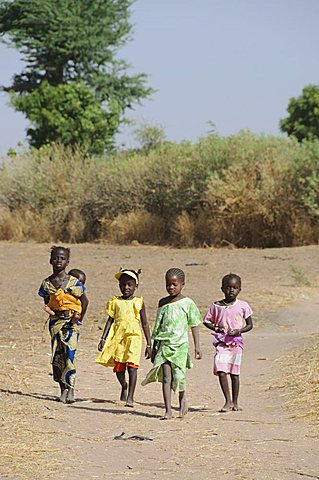 Children, Serer (Serere) Tribal Village, Senegal, West Africa, Africa