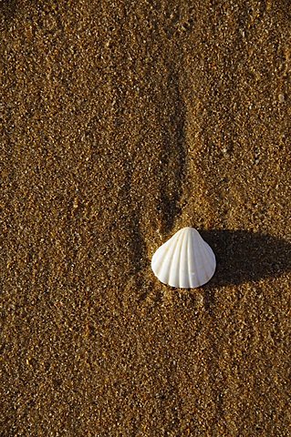 Beach at Saly, Senegal, West Africa, Africa