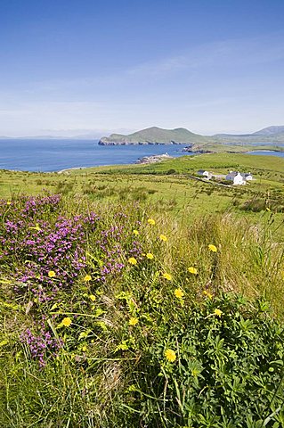 Valentia Island, Ring of Kerry, County Kerry, Munster, Republic of Ireland, Europe