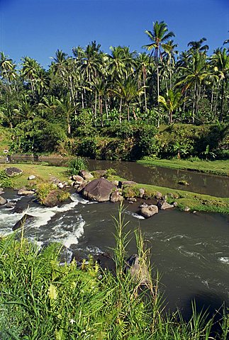 River passing through valley with palm trees at Kupa Kupa Barong, near Ubud, Bali, Indonesia, Southeast Asia, Asia