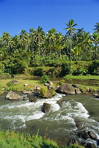 River valley at Kupa Kupa Barong, near Ubud, Bali, Indonesia, Southeast Asia, Asia