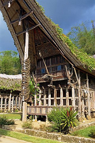 Toraja house, Toraja area, Sulawesi, Indonesia, Southeast Asia, Asia