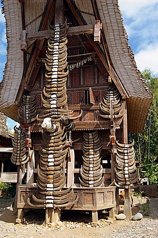 Toraja house, Toraja area, Sulawesi, Indonesia, Southeast Asia, Asia