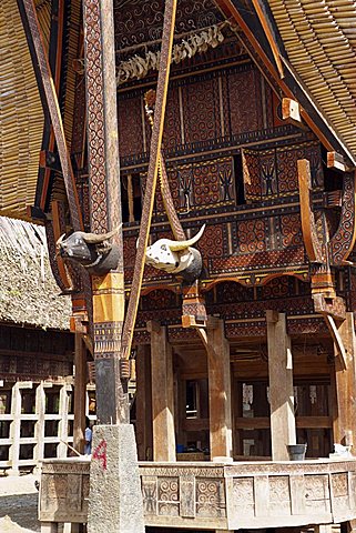 Toraja house, Toraja area, Sulawesi, Indonesia, Southeast Asia, Asia