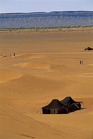 High level view over sand dunes, with black tents, near Tamegroute, Morocco, North Africa, Africa