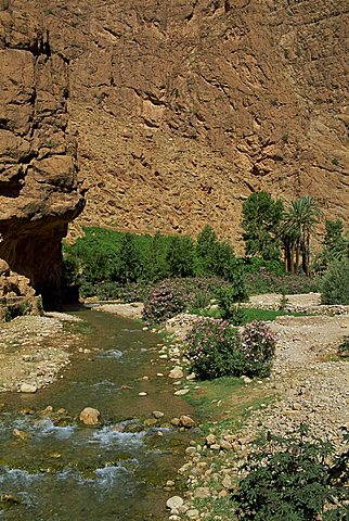 Small river below rock cliffs, Tinerhir near Todra Gorge, Morocco, North Africa, Africa