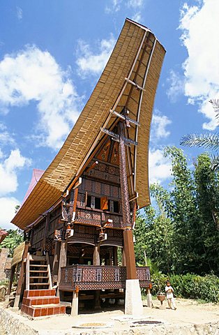 Traditional house, Toraja area, island of Sulawesi, Indonesia, Southeast Asia, Asia