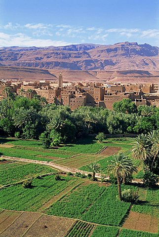 Aerial view over fields, trees and palmeries on the way to the Todra Gorge, Tinerhir, Morocco, North Africa, Africa