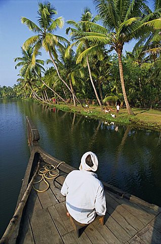 Boat on a typical backwater, fringed with palm trees, where house boats used for tourists, Kerala, India, Asia