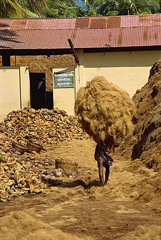 Man carrying dried copra obtained from coconut husks, Tamil Nadu state, India, Asia