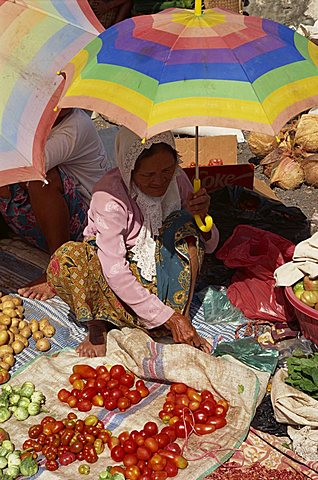 A woman, sitting on the ground, holding a striped umbrella as a sunshade, selling tomatoes and other vegetables at a market, Toraja area, Sulawesi, Indonesia, Southeast Asia, Asia