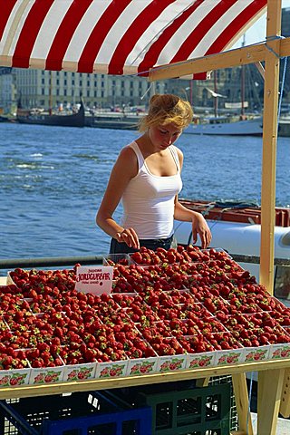 Strawberries for sale, Stockholm, Sweden, Scandinavia, Europe