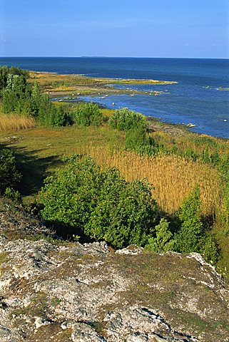 Coast of Muhu, an island to the west of Tallinn, Estonia, Baltic States, Europe