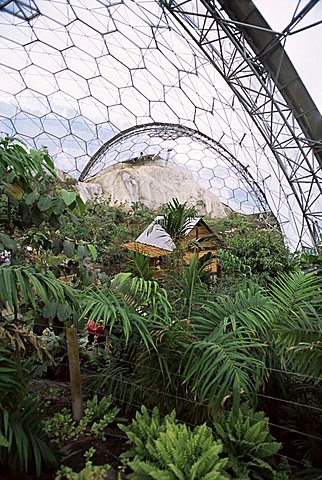 Biome interior, The Eden Project, near St. Austell, Cornwall, England, United Kingdom, Europe