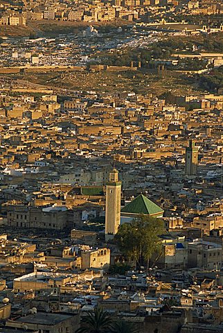 The medina or old walled city from a hill, Fez, UNESCO World Heritage Site, Morocco, North Africa, Africa