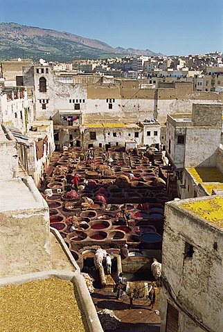 Tanneries, Fez, Morocco, North Africa, Africa