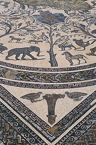 Roman floor mosaic, archaeological site of Volubilis, UNESCO World Heritage Site, Morocco, North Africa, Africa