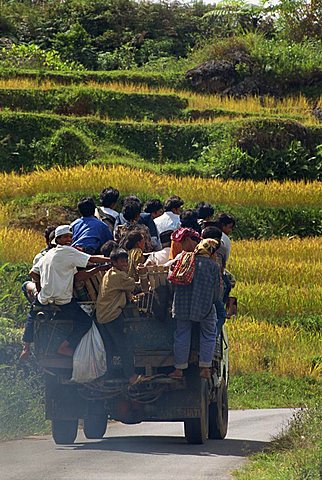 Crowded truck provides local transport, Toraja area, Sulawesi, Indonesia, Southeast Asia, Asia